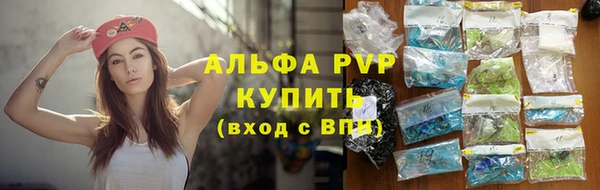 эйфоретик Аркадак