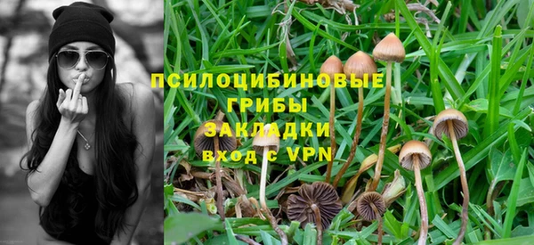 амф Арсеньев
