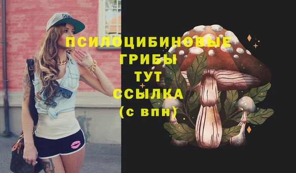 эйфоретик Аркадак