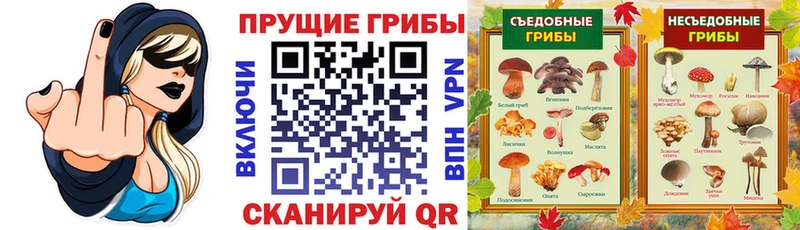 дарк нет состав  Темников  Галлюциногенные грибы Psilocybine cubensis 